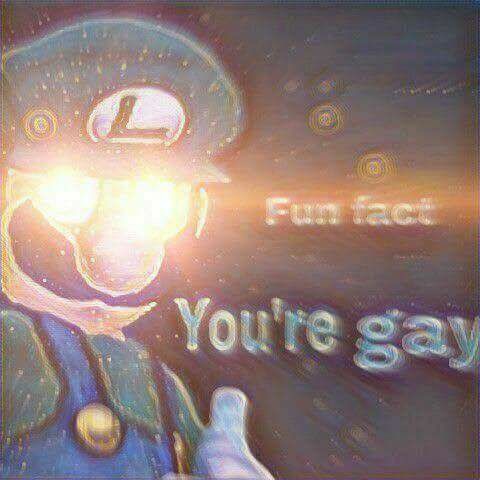 fun fact you are gay meme