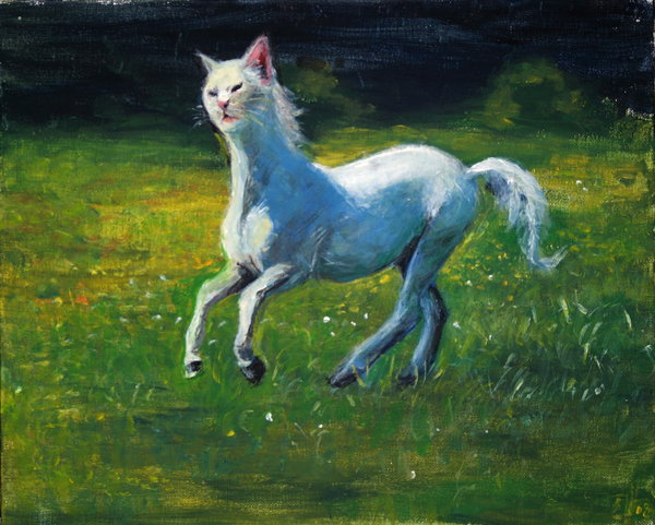 horsecat-589d702136b37.jpeg