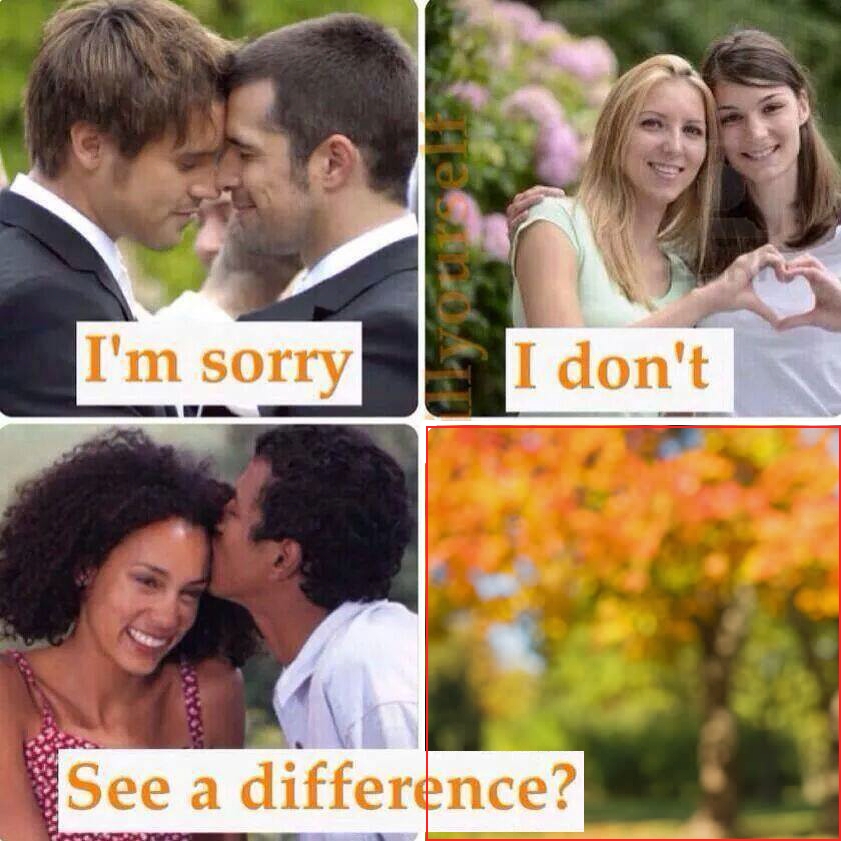 Don t see. Sorry but i don't see the difference. I don't see the difference. I don't see any difference.