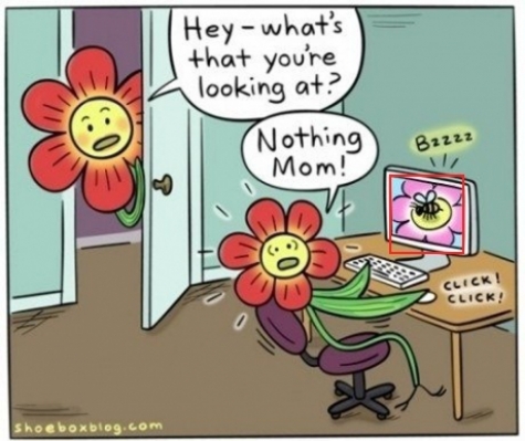 Plant Porn - ShitpostBot 5000